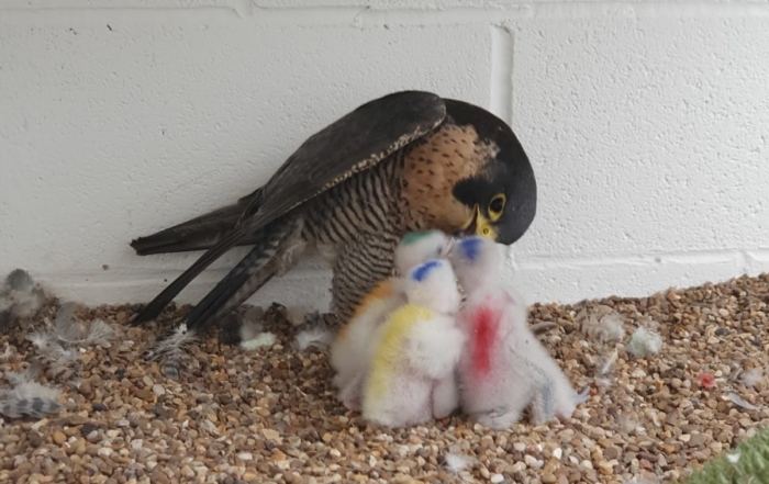 PHOTO-2021-02-23-13-17-17-2-700x441